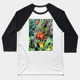 A toothed tomato Baseball T-Shirt